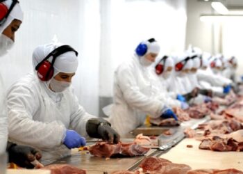 Rentabilidade das exportações para China desaba, mas outros importadores estão pagando mais pelo produto brasileiro