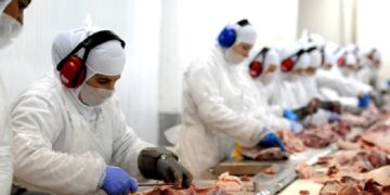 Rentabilidade das exportações para China desaba, mas outros importadores estão pagando mais pelo produto brasileiro