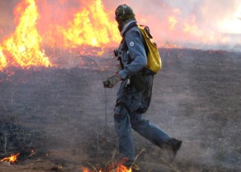 Com tecnologia e prevenção, Brigada Aliança reduz impacto de incêndios em áreas rurais