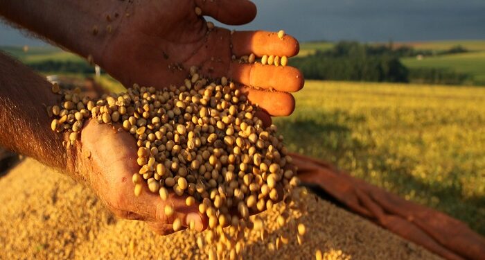 Produtores endividados e recursos escassos: Brasil deve produzir 298,6 mi/ton de grãos na safra 2023/2024