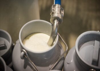 €100 mil para startups com soluções sustentáveis no setor de laticínios