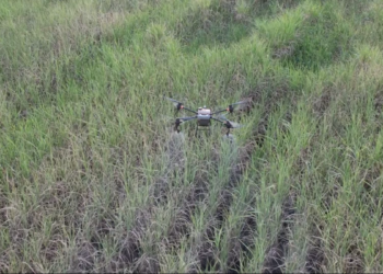 Mercado procura pilotos de drone e paga bem: ‘Entrei e não saí mais’
