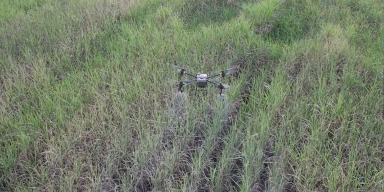 Mercado procura pilotos de drone e paga bem: ‘Entrei e não saí mais’