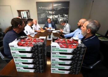 Secretaria de Agricultura de SP avalia criar linha de crédito para produtores de morango do Estado