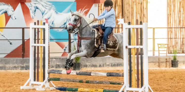 Exposição do Cavalo Árabe em Tatuí (SP) apresenta raça em 10 modalidades e reúne competidores de todo o país