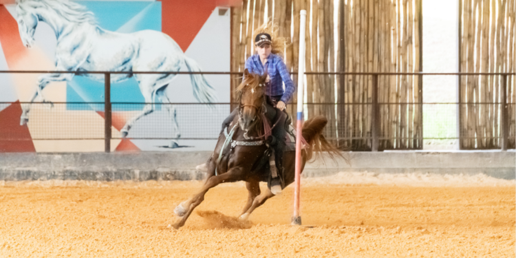 Exposição do Cavalo Árabe em Tatuí (SP) apresenta raça em 10 modalidades e reúne competidores de todo o país
