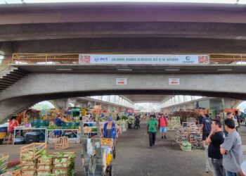 CEAGESP atinge 1 milhão de quilos em doação de alimentos em 2024
