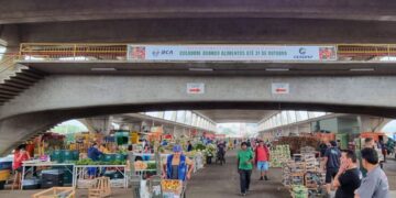 CEAGESP atinge 1 milhão de quilos em doação de alimentos em 2024