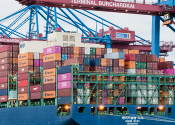 São Paulo lidera exportação agropecuária do Brasil em 2024
