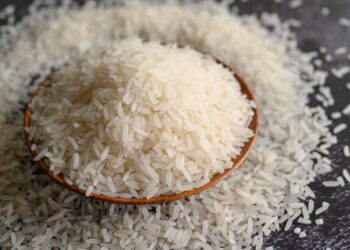 Semeadura de arroz no RS alcança 9,5% da área estimada