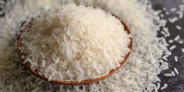Semeadura de arroz no RS alcança 9,5% da área estimada