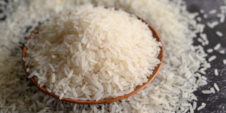 Semeadura de arroz no RS alcança 9,5% da área estimada