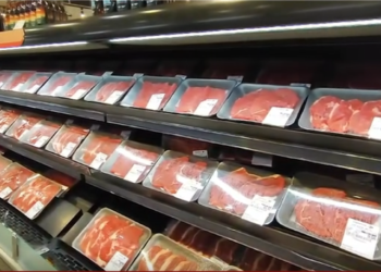 Deputado francês chama carne brasileira de “lixo” durante debate sobre acordo UE-Mercosul