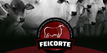 Feicorte reúne principais raças na cidade com o maior rebanho de bovinos do estado de São Paulo