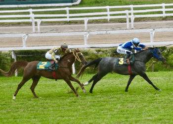 Últimas corridas de 2024 do Cavalo Árabe agitam o Jockey Club de São Paulo neste sábado (14/12)