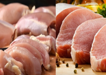 Em coletiva, ABPA estima crescimento da produção e consumo; exportações devem alcançar novos patamares no próximo ano