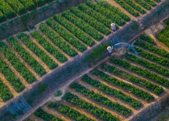 Agricultores: protagonistas da gestão hídrica frente às mudanças climáticas