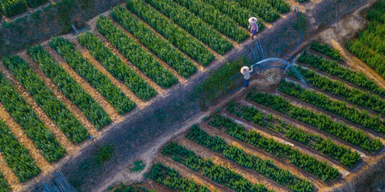 Agricultores: protagonistas da gestão hídrica frente às mudanças climáticas