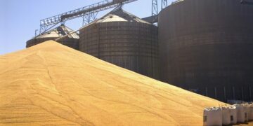 Conab e BNDES firmam acordo visando ampliar capacidade operacional dos armazéns da estatal