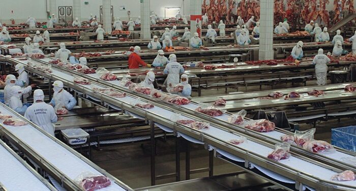 2024 registra um total de 39,18 milhões de animais abatidos