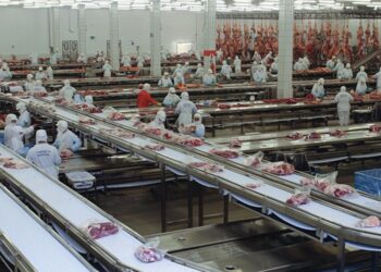 Exportação de carne bovina recua 0,7% em janeiro, comparando com o mesmo período de 2024.