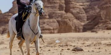 Conjunto brasileiro fica em 6º lugar em prova de enduro com premiação milionária na Arábia Saudita