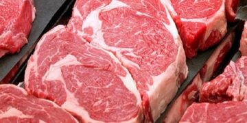 Fevereiro de 2025 é o melhor da história para as exportações de carne bovina in natura