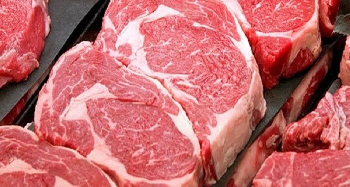 Fevereiro de 2025 é o melhor da história para as exportações de carne bovina in natura
