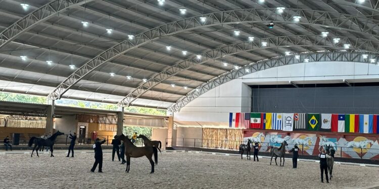 Tatuí (SP) sedia primeiro grande evento oficial do Cavalo Árabe de 2025 com premiação de R$ 250 mil