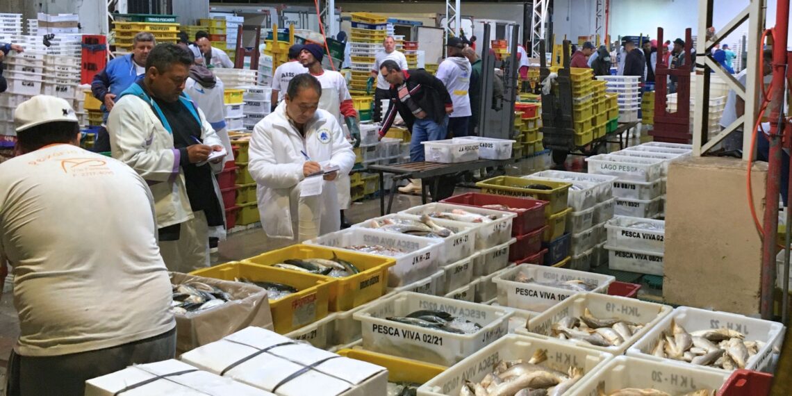 Índice CEAGESP variou 2,55% em fevereiro