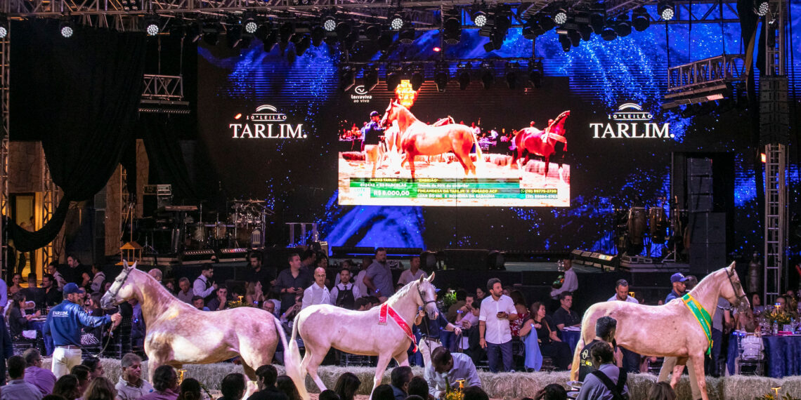 Com Nelore e Mangalarga, 10° Leilão Tarlim bate recordes e fatura mais de R$ 31 milhões