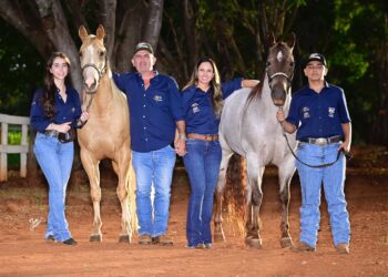 1º Leilão Haras João & Maria irá movimentar o mercado do cavalo Quarto de Milha em Mato Grosso do Sul