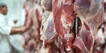 Exportações de carnes crescem em março e faturamento dispara com alta demanda global