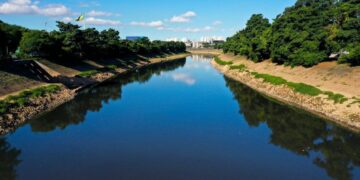 Governo de SP libera R$ 2,5 mi para afetados por mortandade de peixes no Rio Tietê