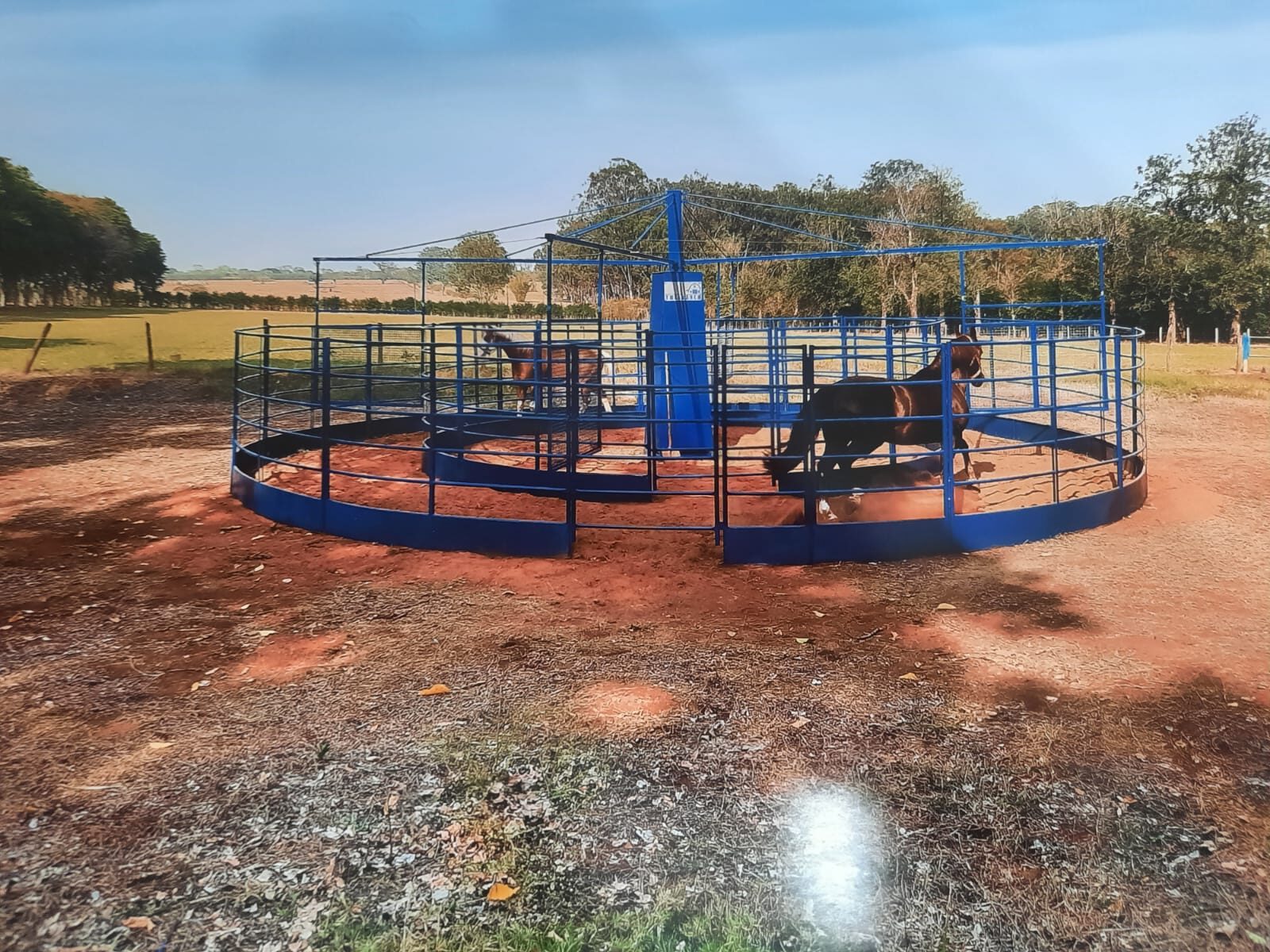 Upp Ranch: inovação e tecnologia a serviço do agro