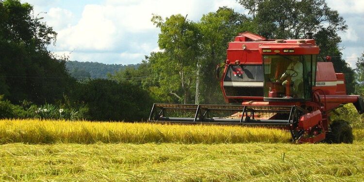IR 2025: contabilidade no campo é chave para evitar autuações e acessar crédito