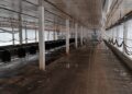 Desinfecção da granja de Montenegro é concluída e área entra no período de vazio sanitário por 28 dias