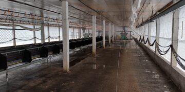 Desinfecção da granja de Montenegro é concluída e área entra no período de vazio sanitário por 28 dias