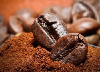 Preço do café sobe 82% em pouco mais de um ano, mas colheita pressiona mercado e derruba cotações em junho