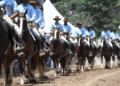 47ª Exposição Nacional do Cavalo Mangalarga será em julho no Jockey Club de São Paulo
