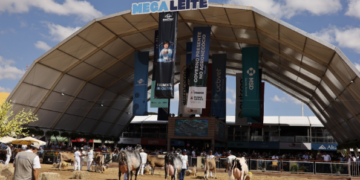 TV e Web: Terraviva garante transmissão exclusiva dos principais leilões e programação especial na Megaleite 2025
