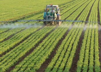 Conflito entre Irã e Israel pressiona insumos e acende alerta no agro brasileiro, aponta Mosaic