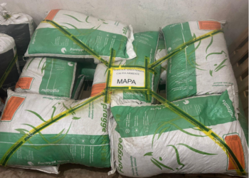 Caso de contaminação em ração equina é inédito