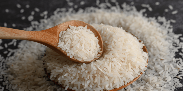 Exportações de arroz crescem 10,2% no semestre