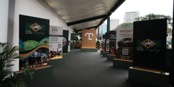Cavalo, Cultura e Lazer: Exposição Nacional do Mangalarga é dica para a família nas férias