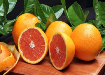 Exportação de suco de laranja tem menor volume da história, mas gera receita recorde