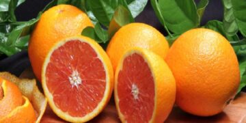 Exportação de suco de laranja tem menor volume da história, mas gera receita recorde