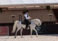 Maior exposição do Cavalo Árabe da América Latina começou nesta quarta-feira no interior de São Paulo