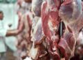 Mês passado foi o melhor junho da história para exportações de carne bovina in natura