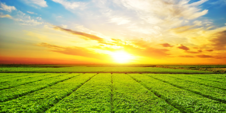 Dia Nacional do Campo Limpo celebra compromisso coletivo por um agro mais sustentável em 24 estados